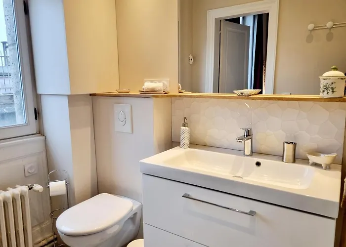 Face A L'hotel De Grand Et Lumineux Apartment