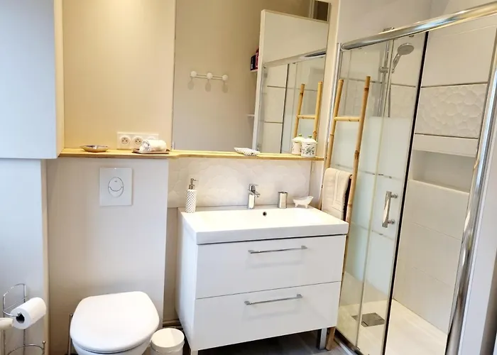 Apartment Face A L'hotel De Grand Et Lumineux Angouleme